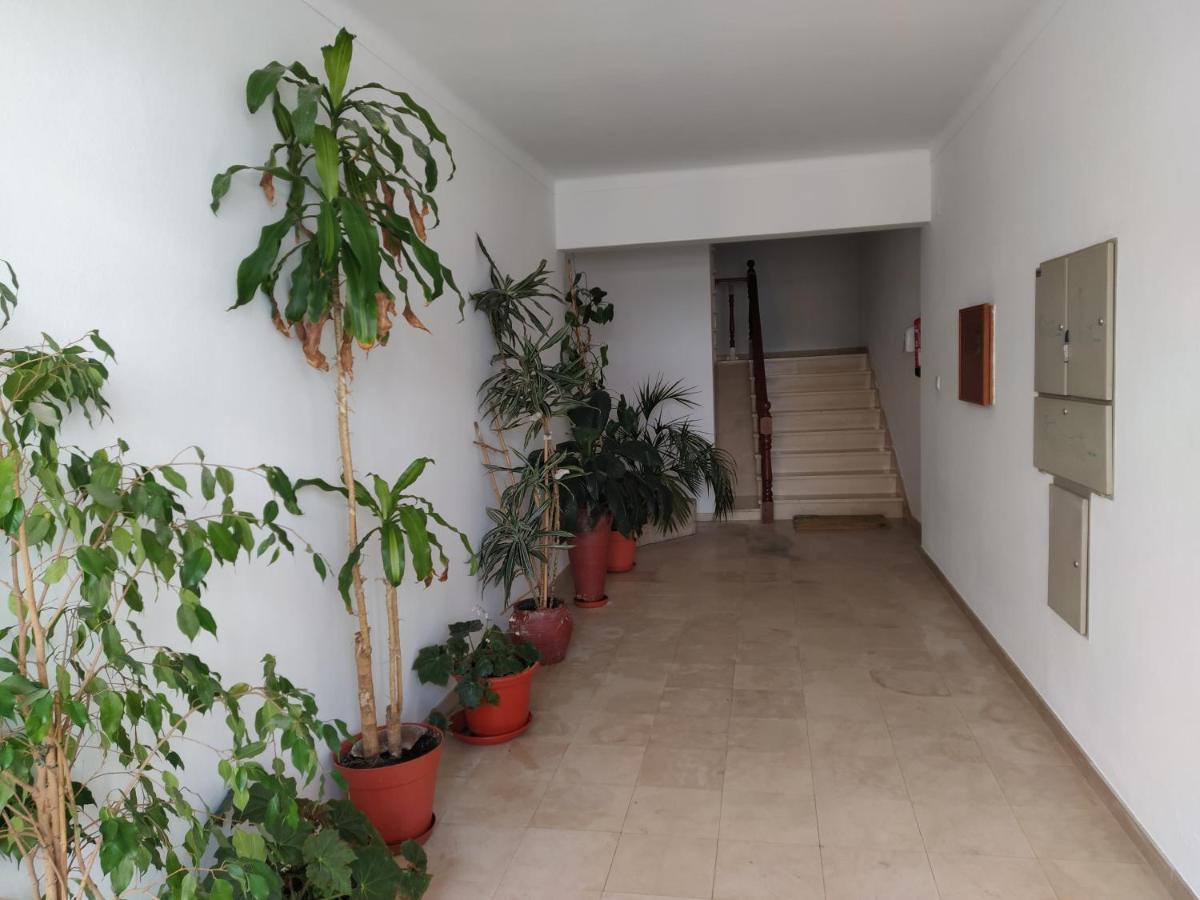 Apartamentos Bau-Doce Cercal do Alentejo ภายนอก รูปภาพ