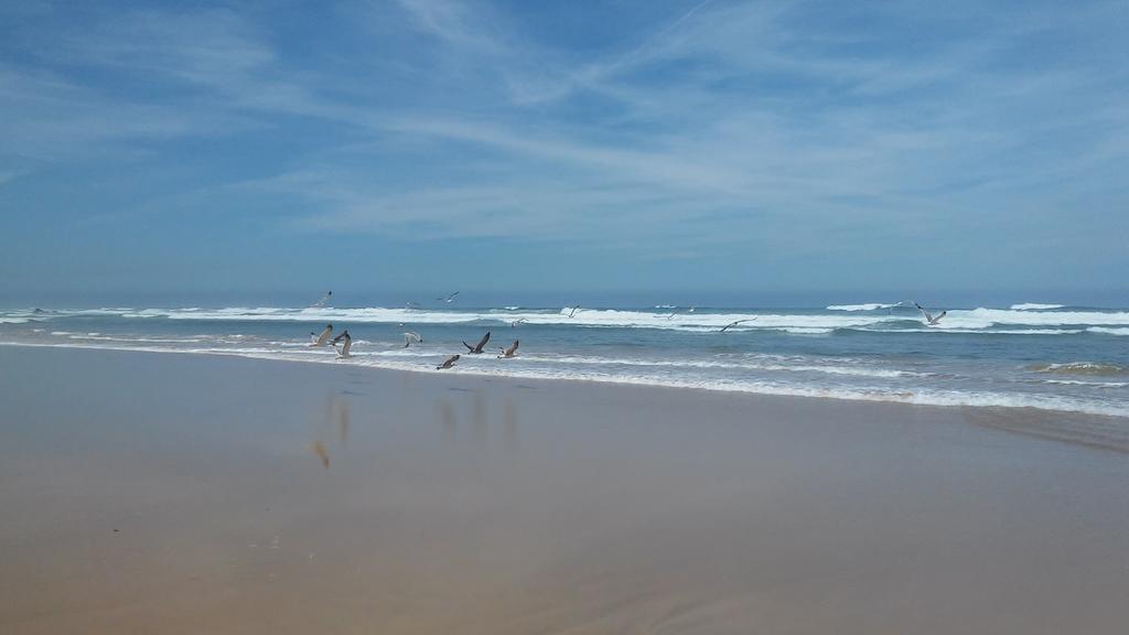 Apartamentos Bau-Doce Cercal do Alentejo ห้อง รูปภาพ