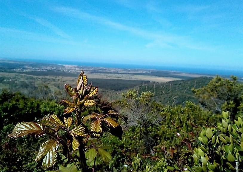 Apartamentos Bau-Doce Cercal do Alentejo ภายนอก รูปภาพ